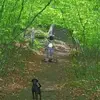 Kathryn Betts - @kathryn.betts2 - TikTok