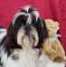 Kathryn Bevan - Facebook