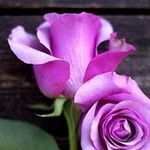 Kathy Bice - @bice.kathy - Instagram