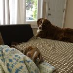 Kathy Mendez Bice - @jack_blue_bice - Instagram
