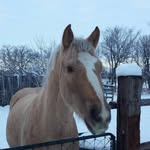 Kathryn Bolduc - @bolduckathryn - Instagram