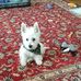Kathryn Bonner - Facebook