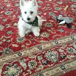 Kathryn Bonner - @kathybonner36 - Instagram
