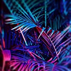 Kathryn Brisson - Facebook