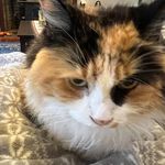 Kathy Place Button - @kathy.button - Instagram