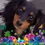 Kathy Cates - @cates3428 - Instagram