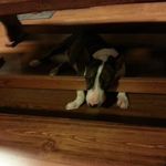 Kathryn Fritz-Cavanaugh - @fritzcavanaugh - Instagram