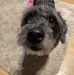 Kathryn Chadwick - Facebook