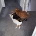 Kathy Chadwick - Facebook
