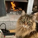 Kathryn Conrad - @thejoycon - Instagram