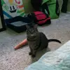kat - @kathryn_cool317 - TikTok