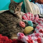 Kathryn Custer - @toebeanartsandcrafts - Instagram