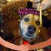 Kathryn Devries-Coursey - Facebook