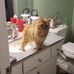 Kathryn Dillman - Facebook