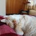 Kathryn Diman - Facebook