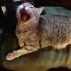 Kathryn Dodds - @kathryn.dodds - TikTok