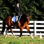 Kathryn Everson - @kathryneverson - Instagram