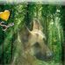 Kathryn Everson - Facebook