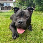 Kathryn Spencer - @kathryn.forestfun - Instagram