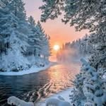 Kathy Frey - @kathy.frey.509 - Instagram