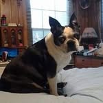 Kathy Gary Knapp - @kathy.g.knapp - Instagram