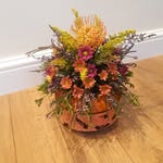 Guest Kat - @kathryn.guest75 - Instagram