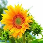 Kathy Holderman Everling - @holdermaneverling - Instagram
