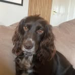 Kathryn Hyde - Facebook
