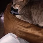 Kathy Hyde - Facebook
