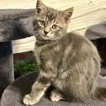 Kathryn Jarrell - @jarrellkathryn - Instagram