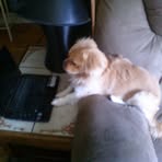 Kathy Jarrell-Barry - Facebook