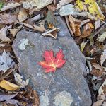 Kathy Jarrell Elich - @kat_elich - Instagram