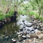 Kathryn Kisner - @desert_livinglife - Instagram
