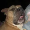 Kathryn Kistner - @kathrynkistner - TikTok