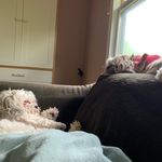 Kathryn Acosta Kitchen - @kitchen_kitty - Instagram