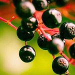 Kathryn's Kitchen Wellness - @kathrynskitchenwellness - Instagram