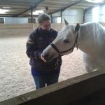 Kathryn Knock - @intuitiveanimalcommunicator - Instagram