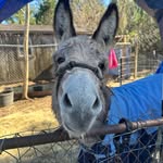 Kathryn Lanier - @lanier407 - Instagram