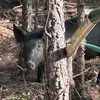 Kathryn Lanier - @kathryn.lanier0 - TikTok