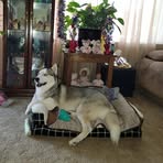 Kathy Linkous - Facebook