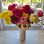 Kath - @kathrynsblooms - Instagram