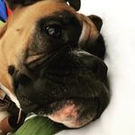 Kathryn Lowery - @kathy_lowery123 - Instagram