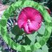 Kathryn Lowery - Facebook