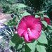 Kathryn Lowery - Facebook