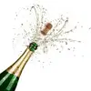 kathrynelowman - @kwh1pp - TikTok