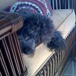 kathy lowman - @lowman443 - Instagram