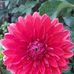 Kathryn Mainguy - Facebook
