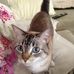 Kathryn Markham - Facebook