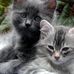 Kathryne Masterson - Facebook