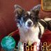Kathryn McElroy - Facebook